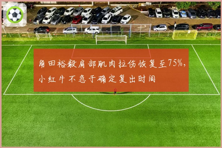 角田裕毅肩部肌肉拉伤恢复至75%，小红牛不急于确定复出时间