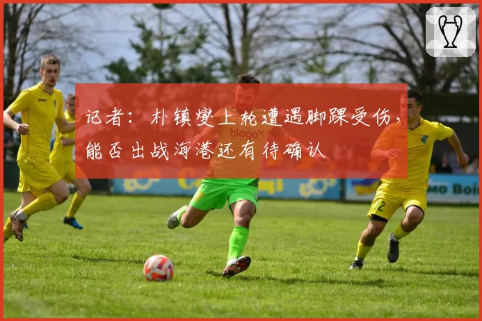 记者：朴镇燮上轮遭遇脚踝受伤，能否出战海港还有待确认