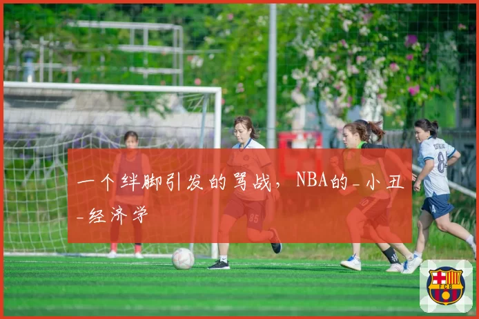 一个绊脚引发的骂战，NBA的_小丑_经济学