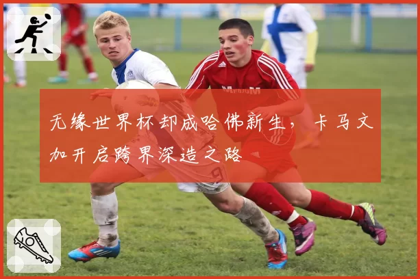 无缘世界杯却成哈佛新生,卡马文加开启跨界深造之路