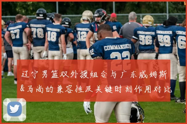 辽宁男篮双外援组合与广东威姆斯&马尚的兼容性及关键时刻作用对比